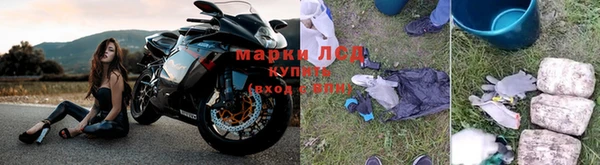 гидропоника Нефтекумск