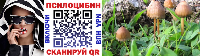 Псилоцибиновые грибы MAGIC MUSHROOMS  МЕГА зеркало  Рыльск  наркота 