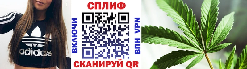 блэк спрут как зайти  Рыльск  Марихуана ГИДРОПОН  магазин продажи  